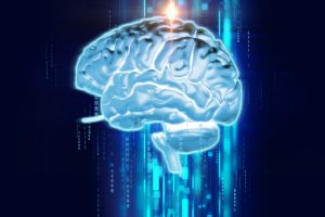 3d rendering of human brain on technology background 3d rendering of human brain on technology background represent artificial intelligence and cyber space concept
